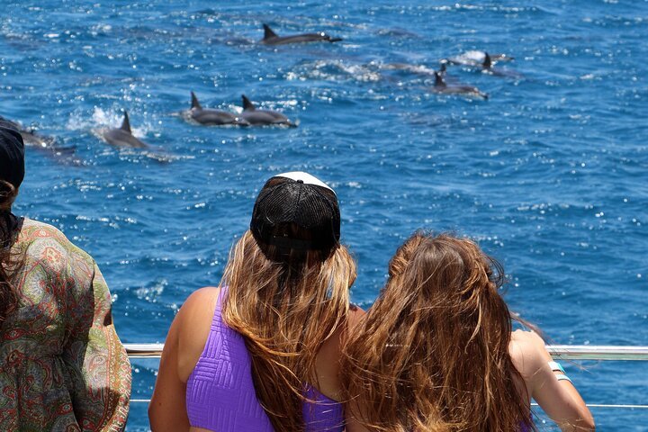 oahu dolphin watch snorkel cruise adventure 31